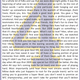 Image for article titled Dissecting The Favre Ad, And The Fan Who Placed It
